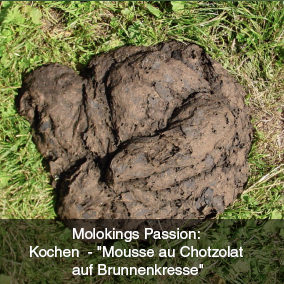 Der beste Freund: Rosetto Muffi